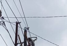 Peduli Lingkungan Warga Desa Pangkat,Ahmad Judin Pasang 25 Lampu Penerangan Jalan Umum (JPU)