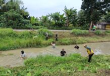 Peringati Hari Bakti PU,LSM Geram Bersama Masyarakat Dan UPTD Perairan Provinsi Banten Bersihkan Irigasi Cidurian